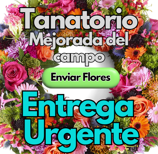 Coronas Urgentes 24 horas tanatorio Mejorada del Campo