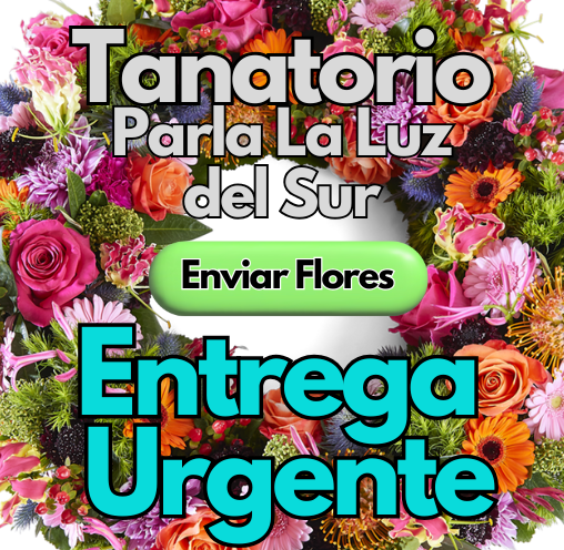 Coronas Urgentes 24 horas tanatorio Parla La Luz del Sur