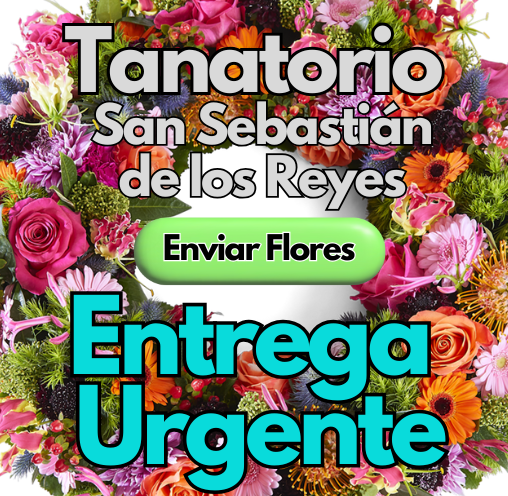 Coronas Urgentes 24 horas tanatorio San sebastian de los reyes