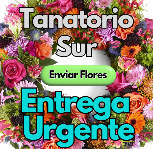 Coronas Urgentes 24 horas tanatorio SUR
