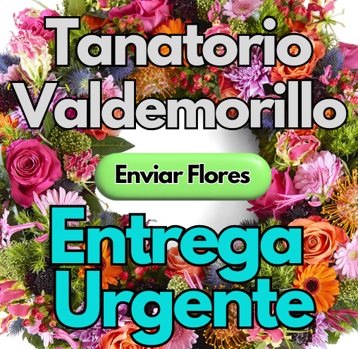 Coronas Urgentes 24 horas tanatorio Valdemorillo